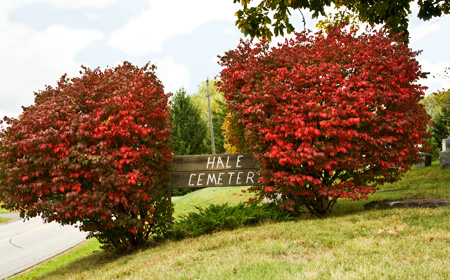Hale Cemetery sign