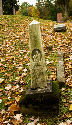 Tidioute Cemetery view